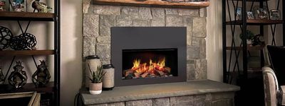DaVinci: GreenSmart Electric 31 Insert