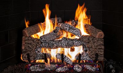 RH Peterson: Charred Cinder Oak Logs - 24"