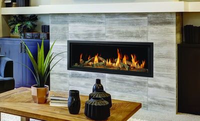 Fireplace Xtrordinair: 4415 High Output Deluxe