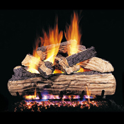 rhpeterson_gas_logs_vented_white_birch