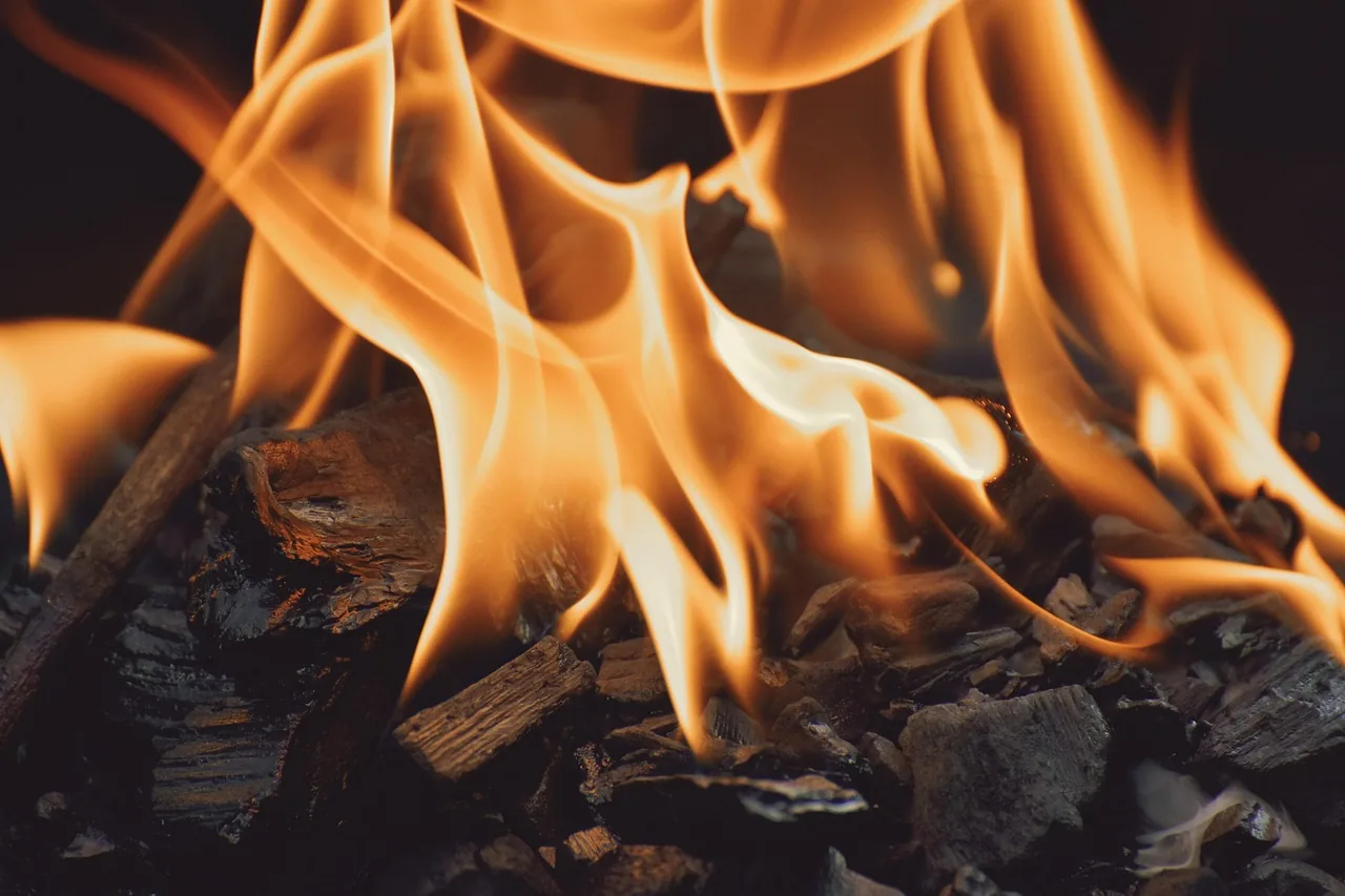 A wood fire, the heart of grilling and smoking